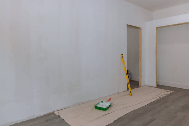 Professional Dry wall and painting in Virginia, IL